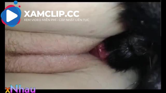 Chị gái tôi cho chó đụ