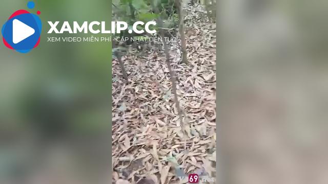 Cụ có tuổi rồi mà vẫn đưa bồ vào giữa rừng chịch thế này con cháu theo sao kịp